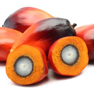 PALM OIL