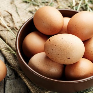 EGGS